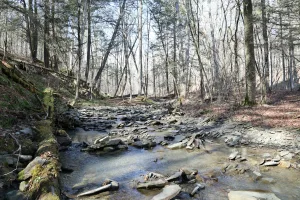 Downtown Saw Creek, PA, PA