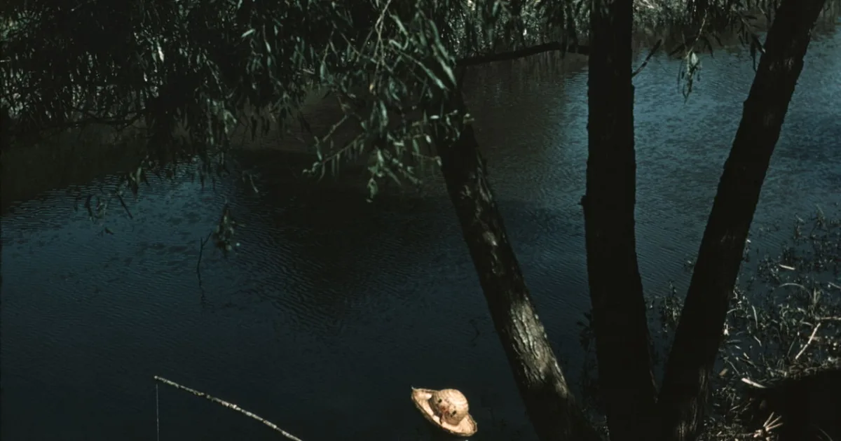 census-designated place in Terrebonne Parish, Louisiana, United States