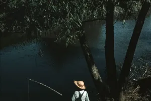 census-designated place in Terrebonne Parish, Louisiana, United States