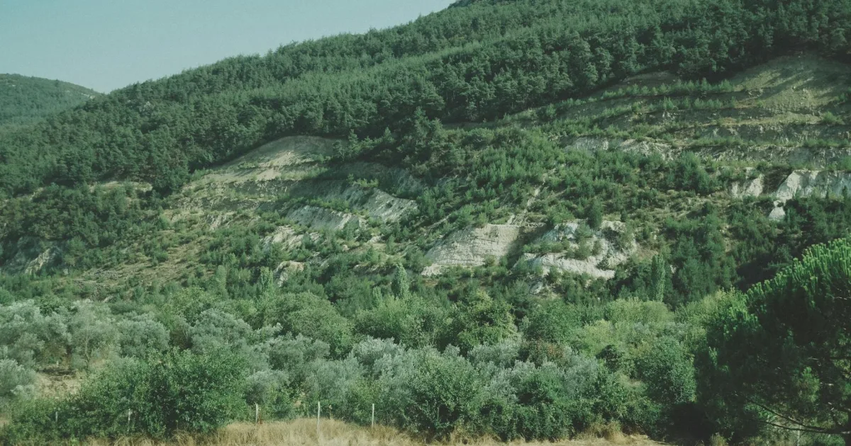 Downtown Scio, OR, OR