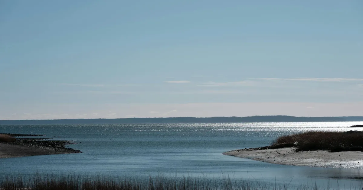 Downtown Seabrook Island, SC, SC