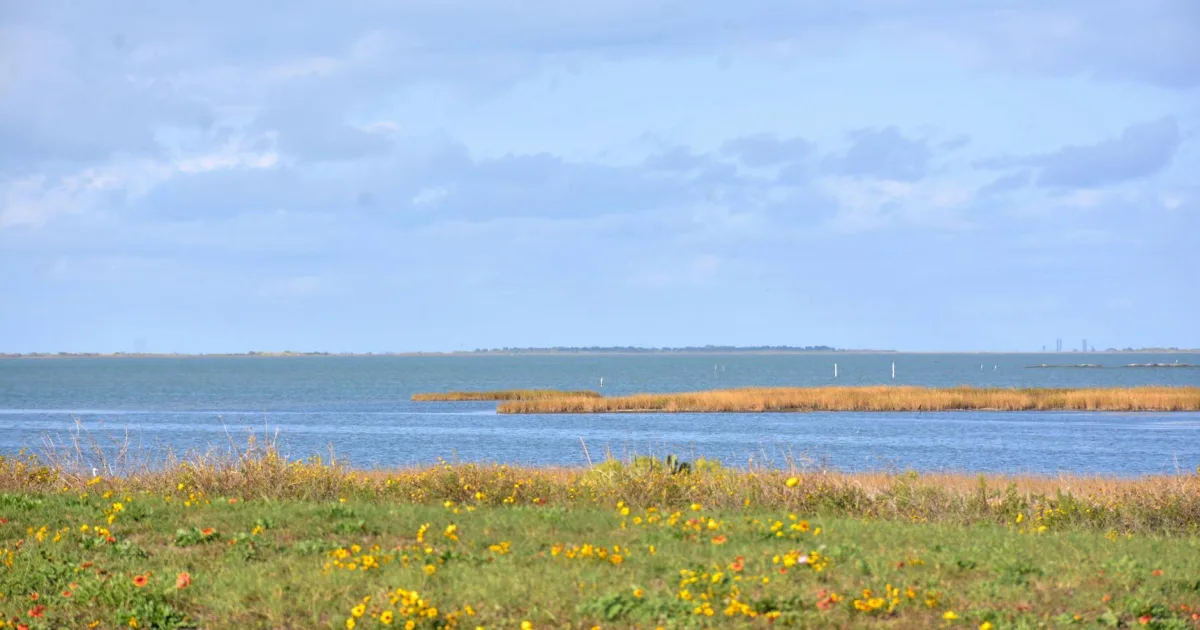 Downtown Seagoville, TX, TX