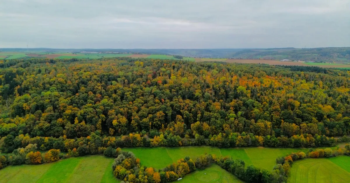 Downtown Selinsgrove, PA, PA