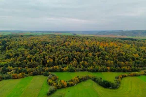 Downtown Selinsgrove, PA, PA