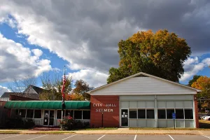 town in McNairy County, Tennessee, United States of America