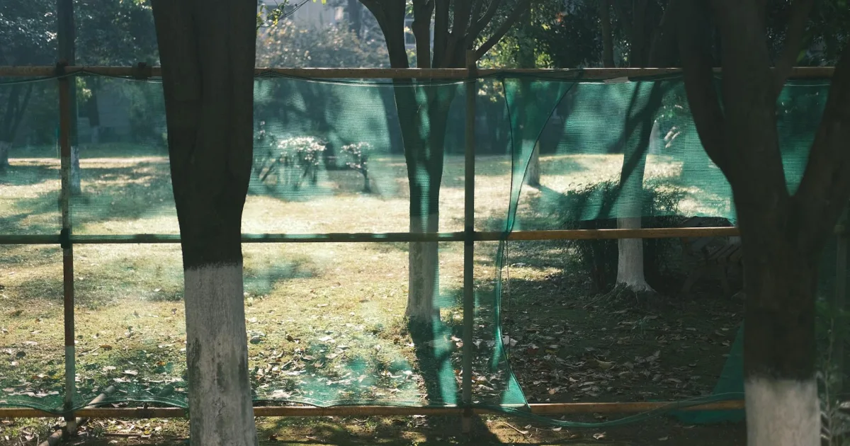 Downtown Shadeland, IN, IN