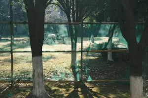 Downtown Shadeland, IN, IN