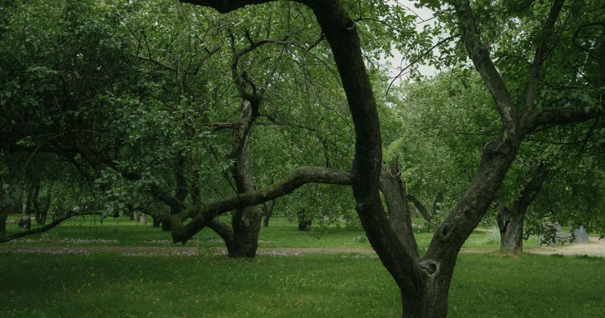 Downtown Shady Side, IN, IN