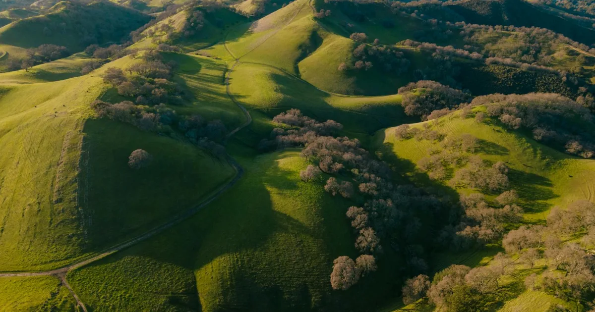 Downtown Shannon Hills, AR, AR