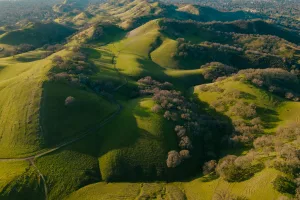 Downtown Shannon Hills, AR, AR