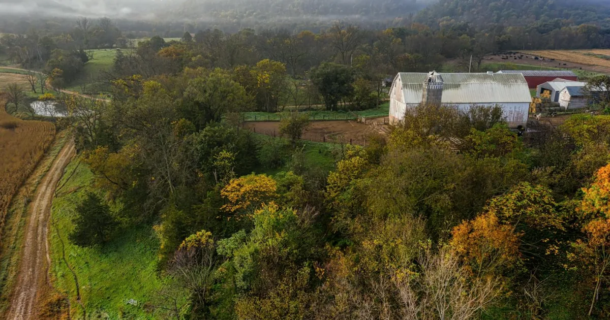 Downtown Shawnee Land, VA, VA