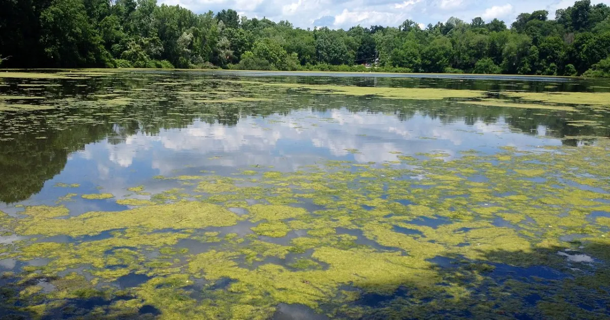 census-designated place in Westchester County, New York
