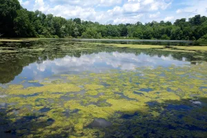 census-designated place in Westchester County, New York