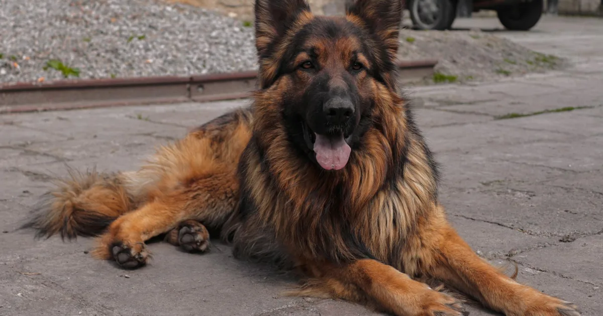 Downtown Shepherd, MI, MI