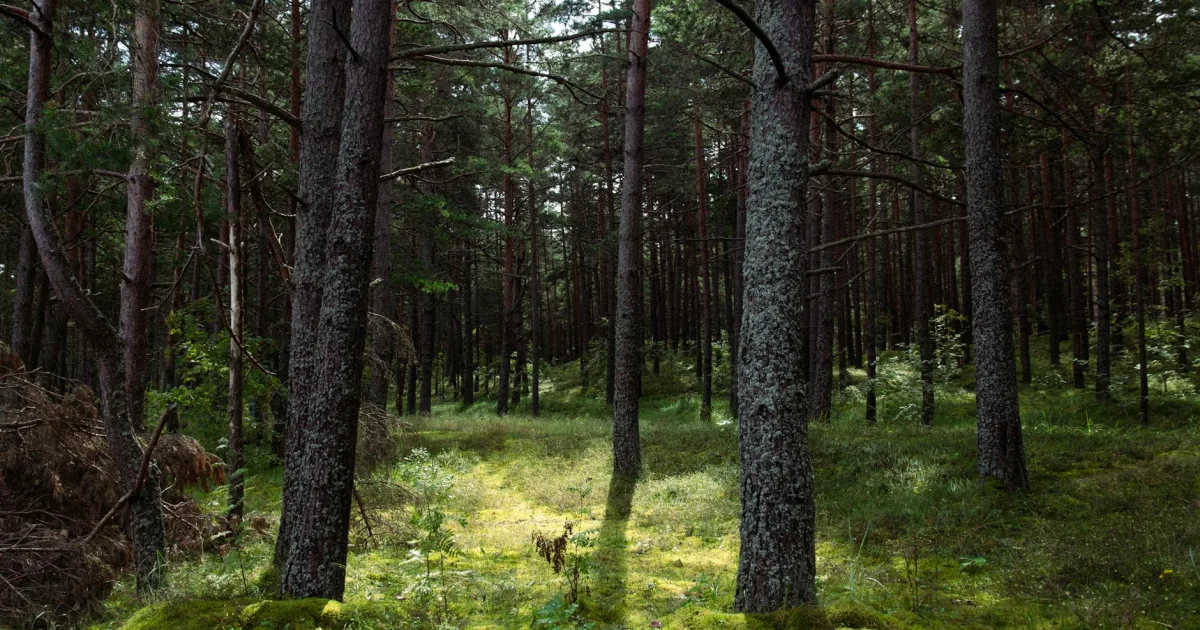 Downtown Sherwood, AR, AR