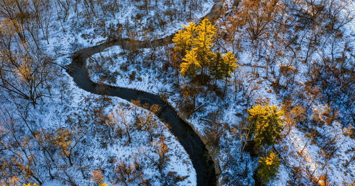 Downtown Silver Creek, MN, MN