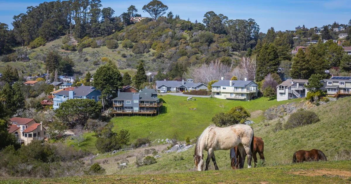 Downtown Silver Hill, MD, MD