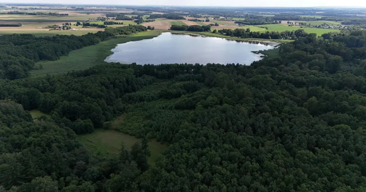Downtown Skidway Lake, MI, MI
