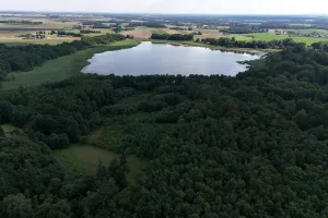 Downtown Skidway Lake, MI, MI