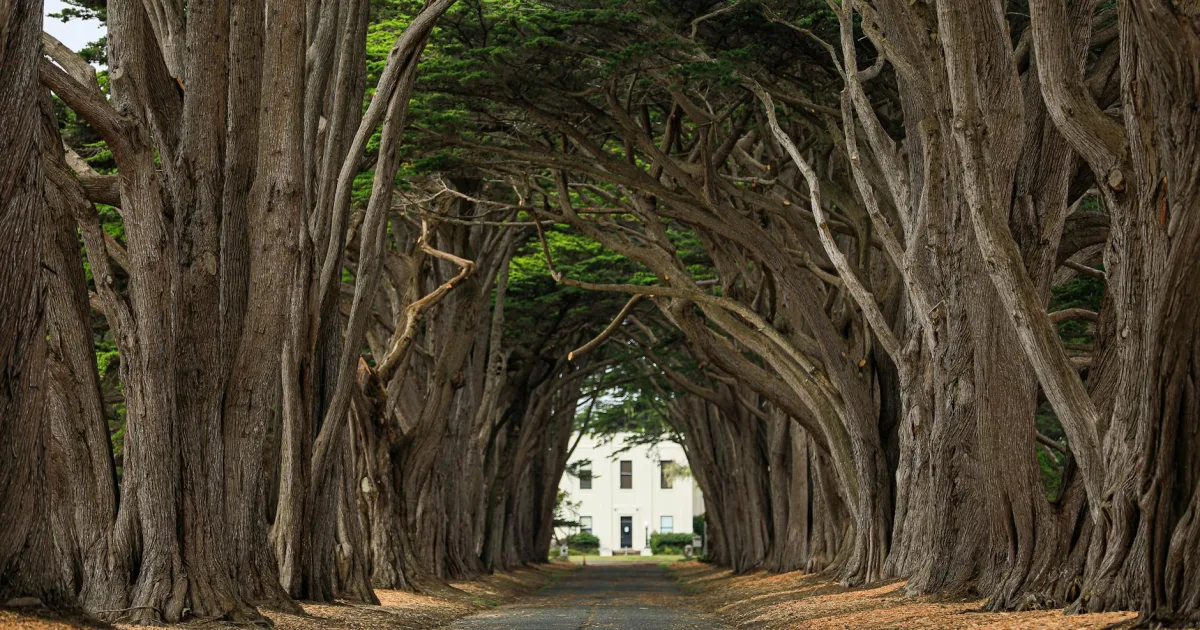 Downtown Sleepy Hollow, CA, CA