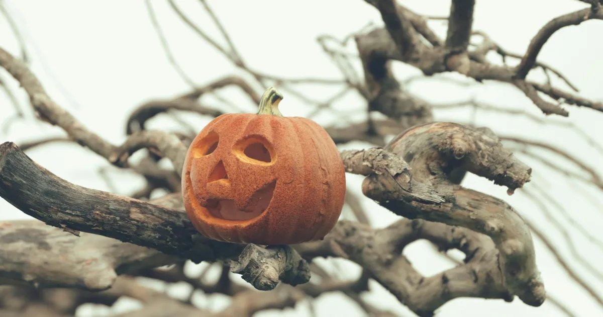 Downtown Sleepy Hollow, WY, WY