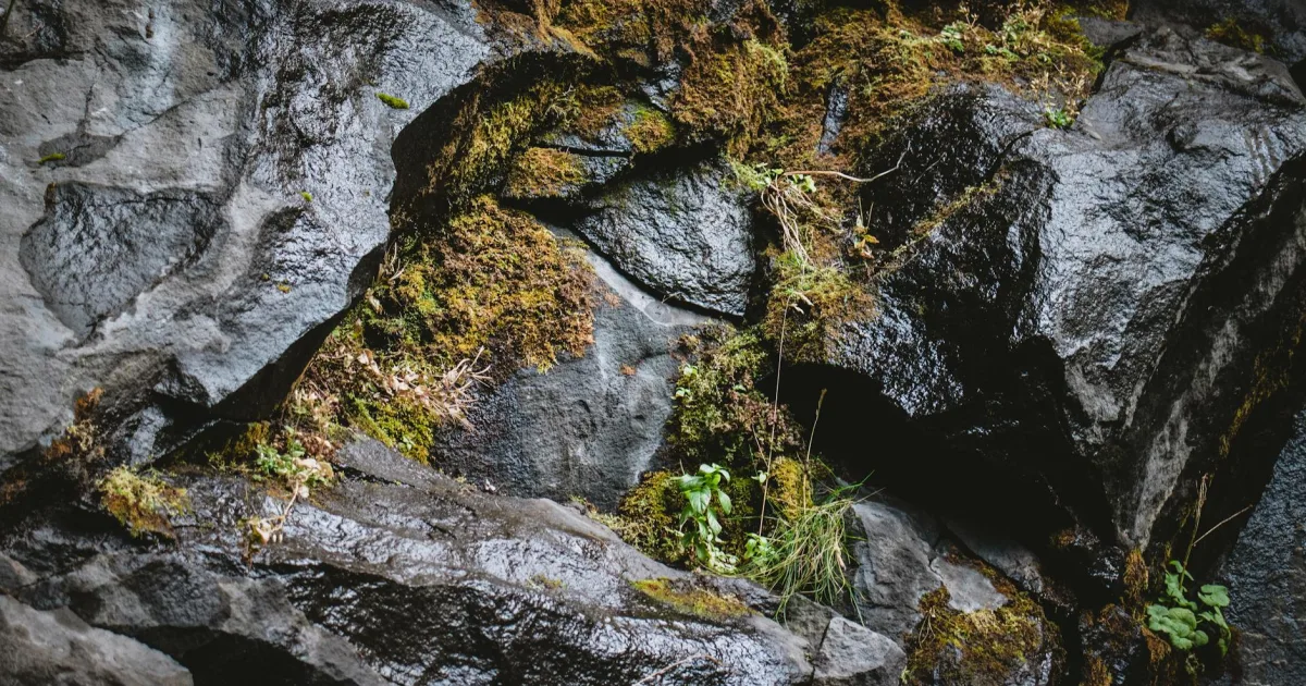 Downtown Slippery Rock, PA, PA