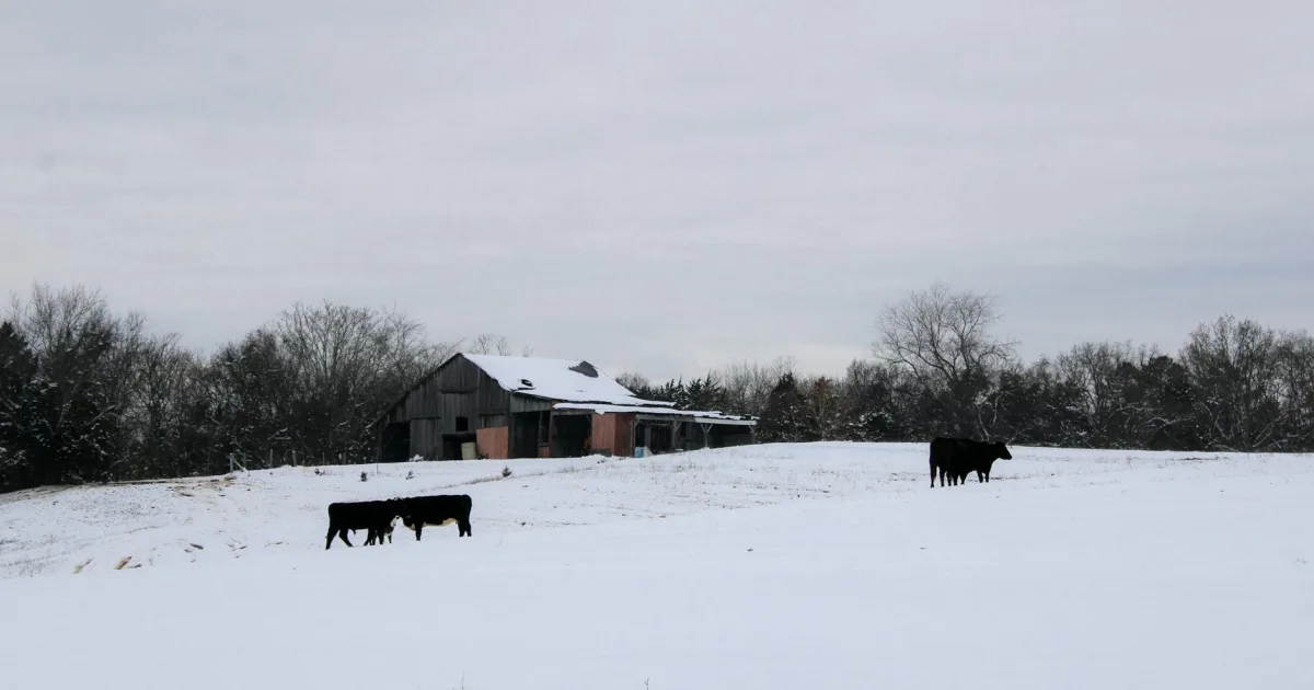 Downtown Smithfield, OH, OH