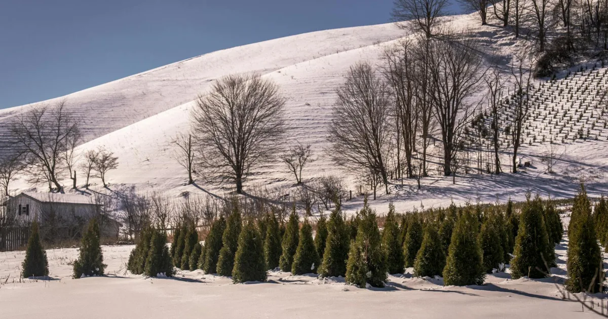 Downtown Snow Hill, NC, NC