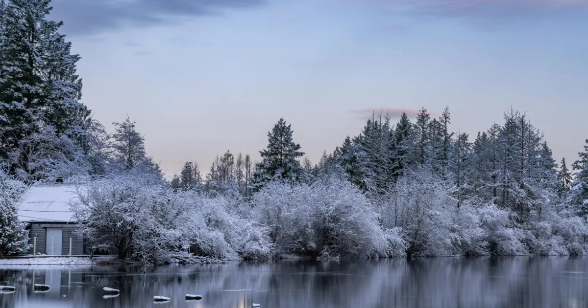 Downtown Snow Lake Shores, MS, MS