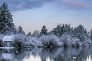 Downtown Snow Lake Shores, MS, MS