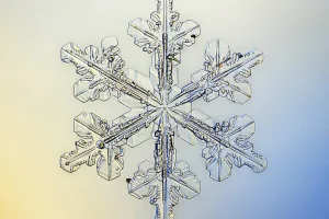 single ice crystal or an aggregation of ice crystals which falls through the Earth's atmosphere