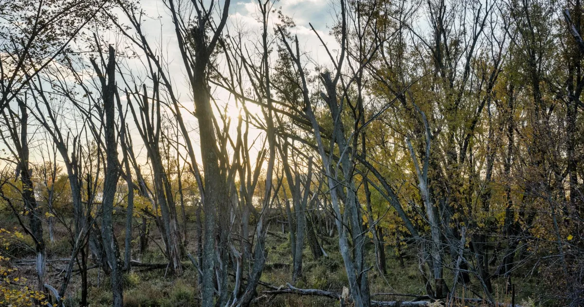 Downtown Soldiers Grove, WI, WI