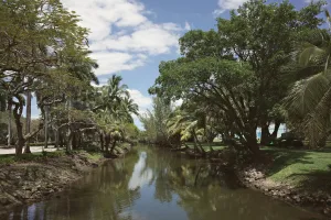 Downtown South Brooksville, FL, FL