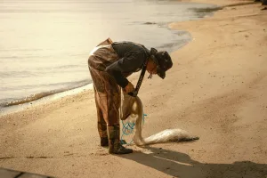 Downtown South Congaree, SC, SC