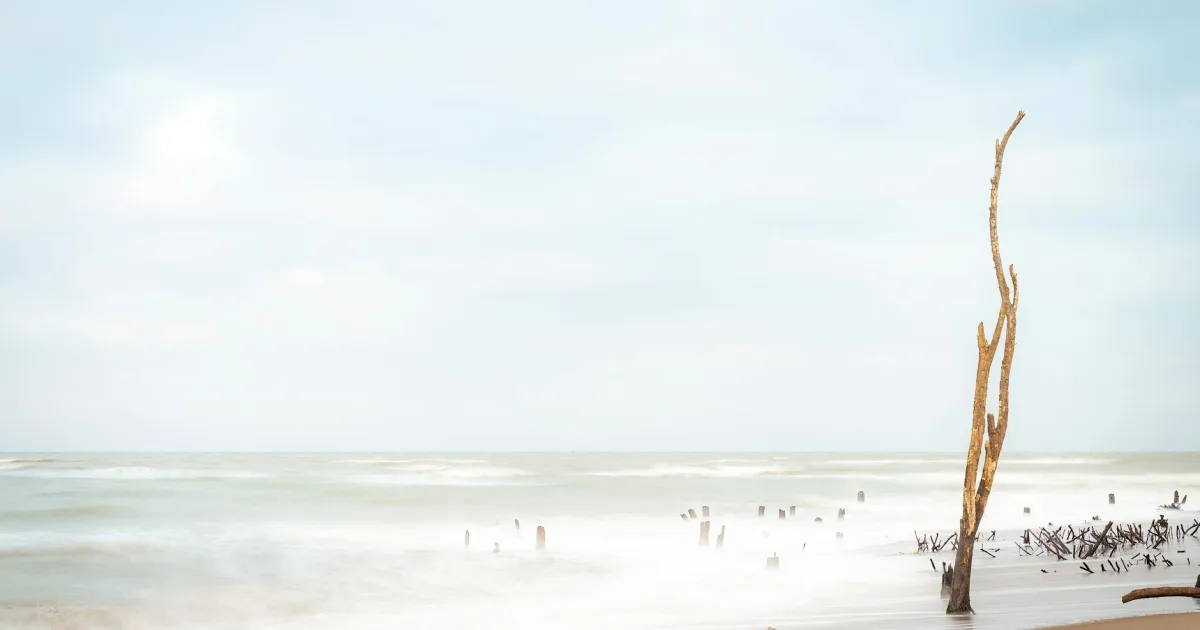 Downtown South Shore, IL, IL