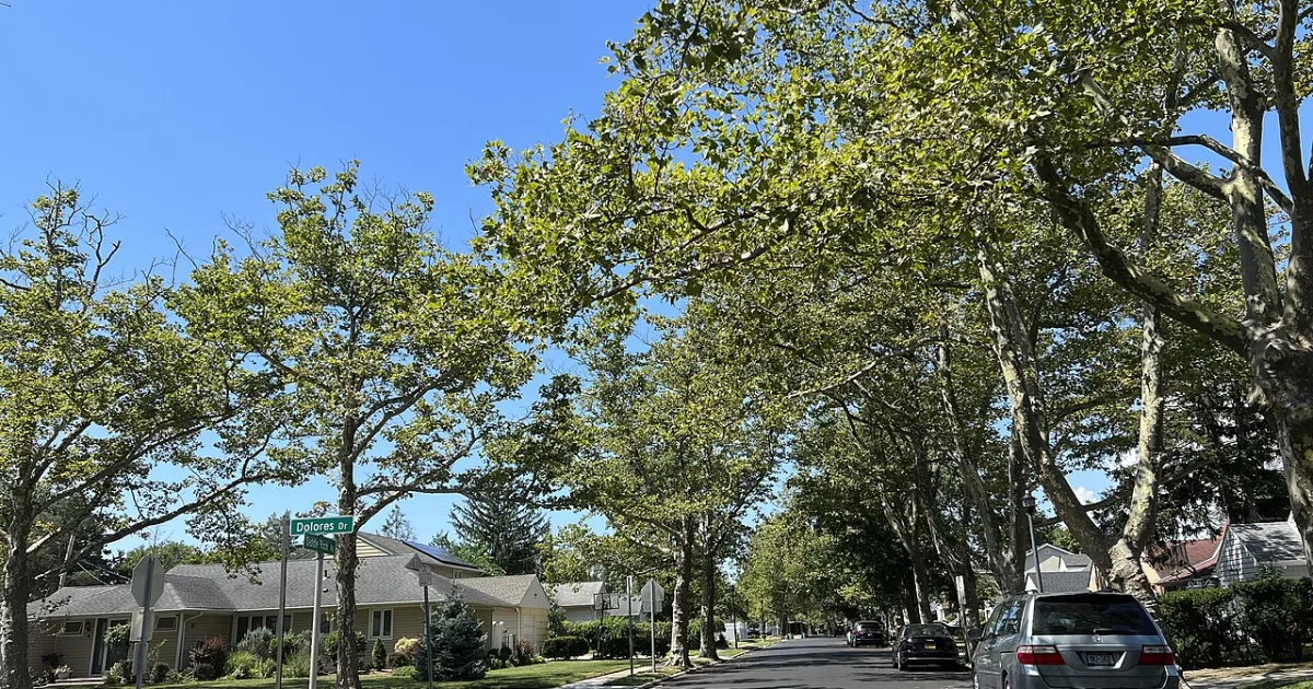 census-designated place in Nassau County, New York, United States