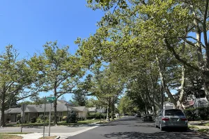 census-designated place in Nassau County, New York, United States