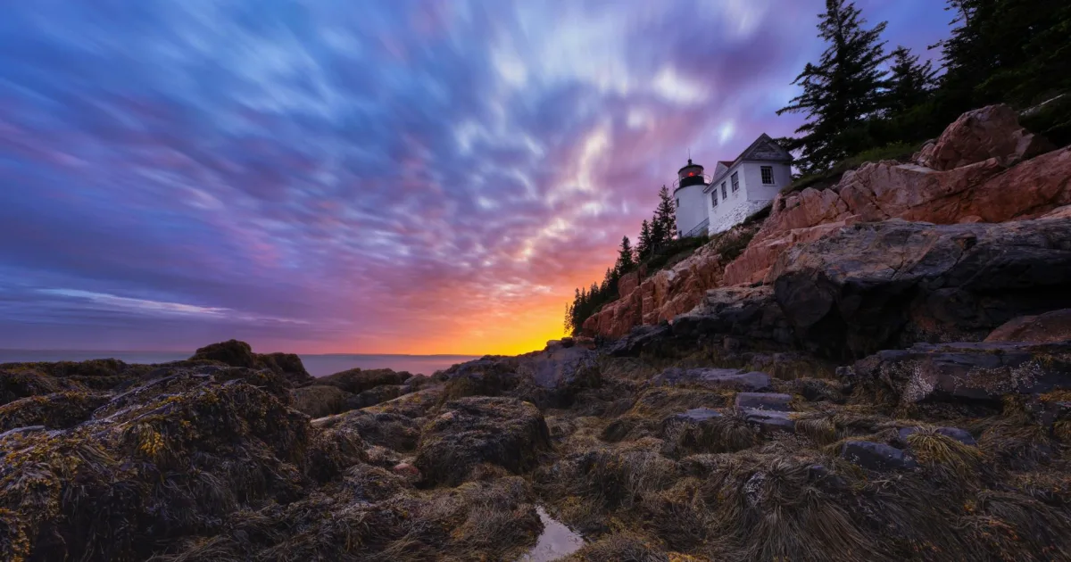 Downtown Southwest Harbor, ME, ME