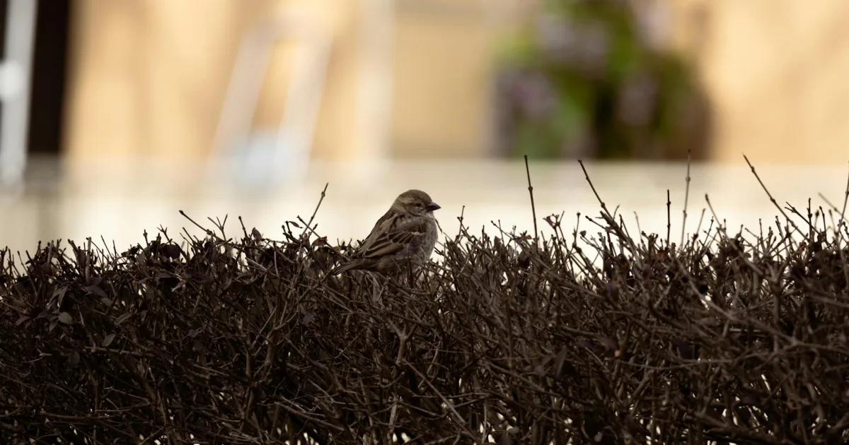 Downtown Sparrow Bush, NY, NY