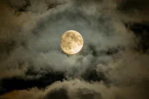 Downtown Sparta, WI, WI