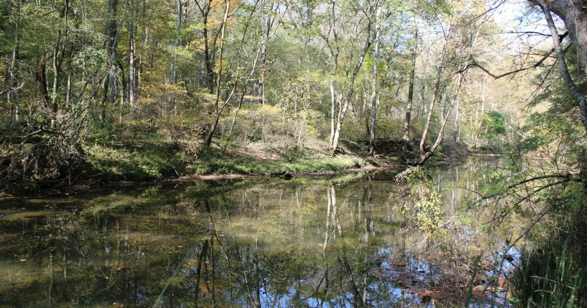 Downtown Spears Creek, SC, SC