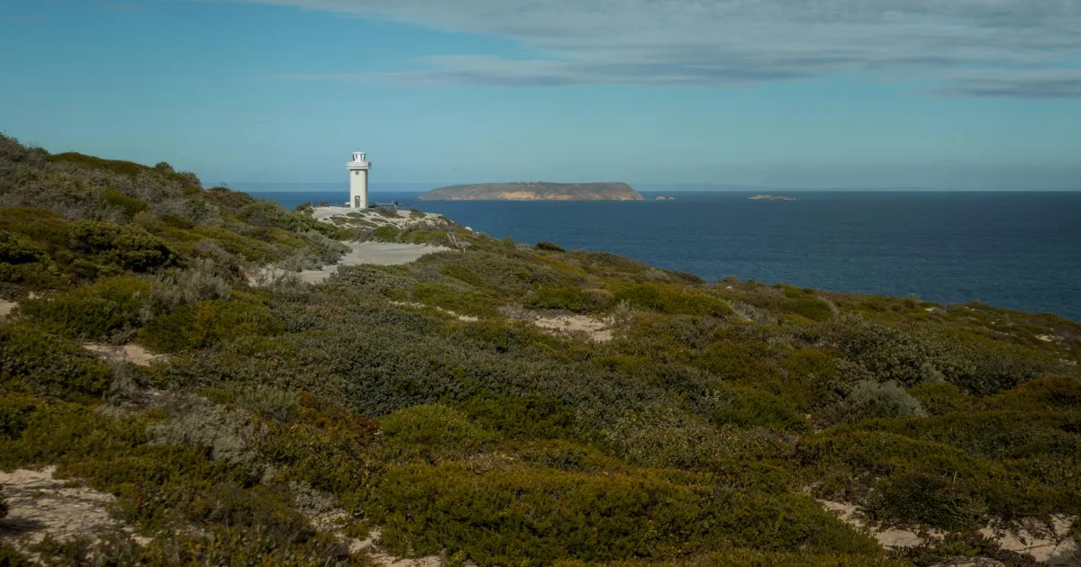Downtown Spencer, WV, WV