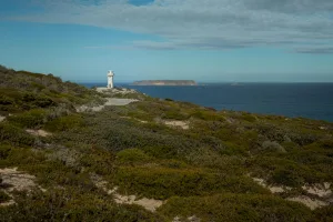Downtown Spencer, WV, WV