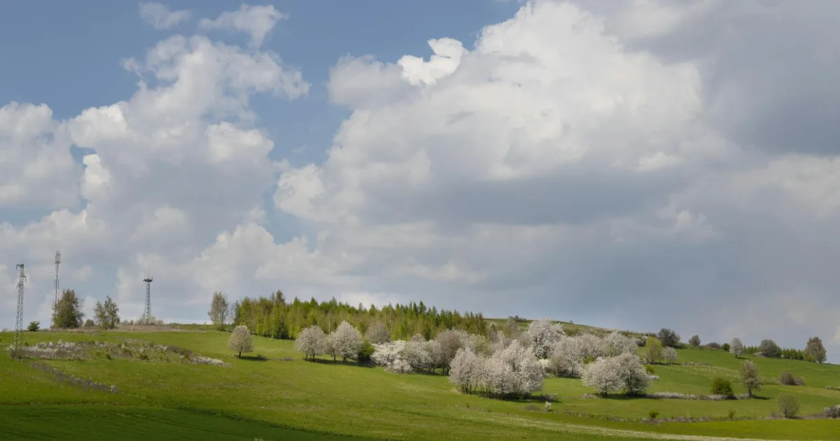 Downtown Spring Hill, KS, KS