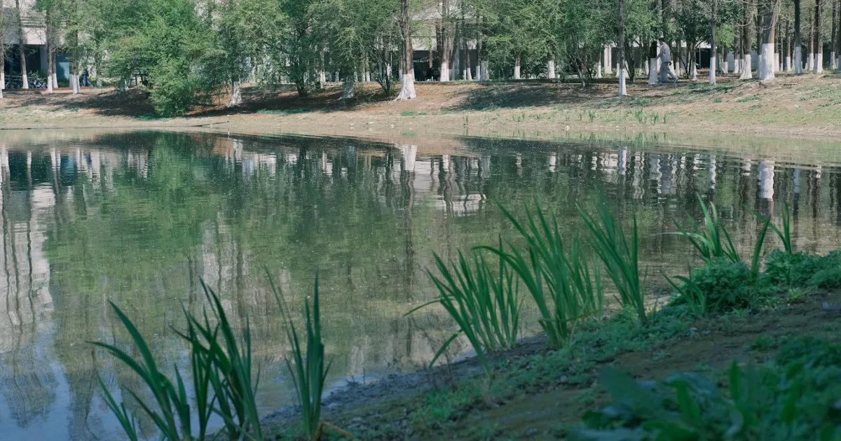 Downtown Spring Lake, MI, MI