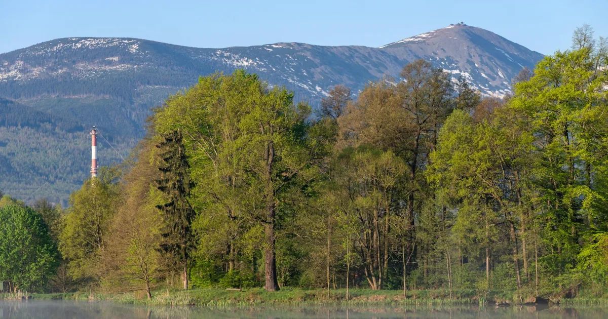 Downtown Spring Mount, PA, PA
