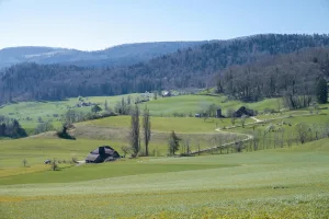 Downtown Spring Valley, OH, OH