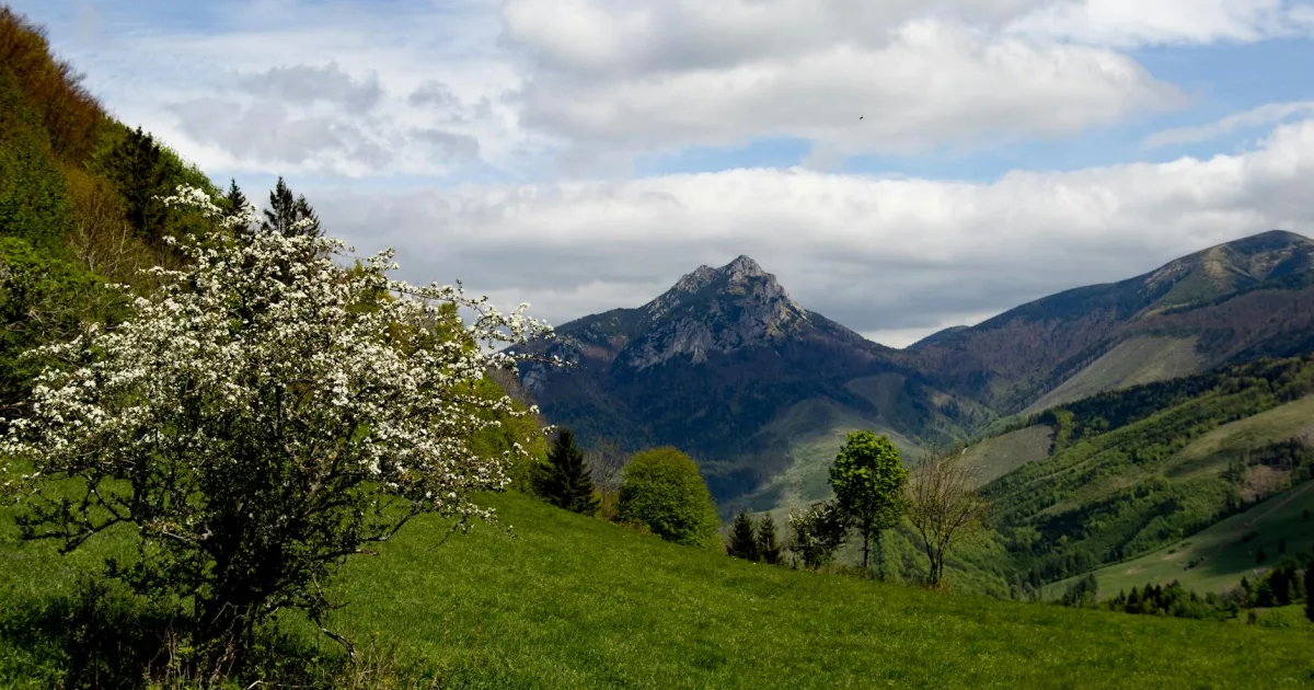 Downtown Spring Valley, IL, IL