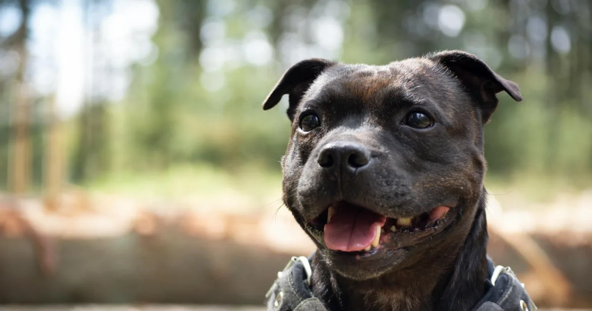 Downtown Stafford, OR, OR