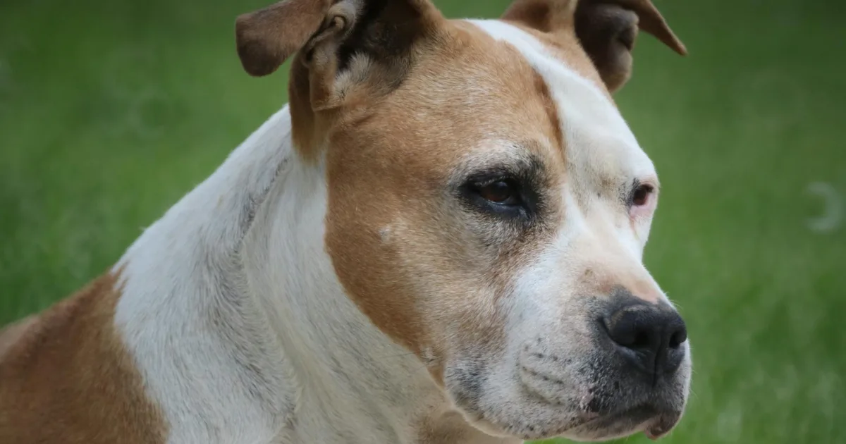 Downtown Stanfield, OR, OR